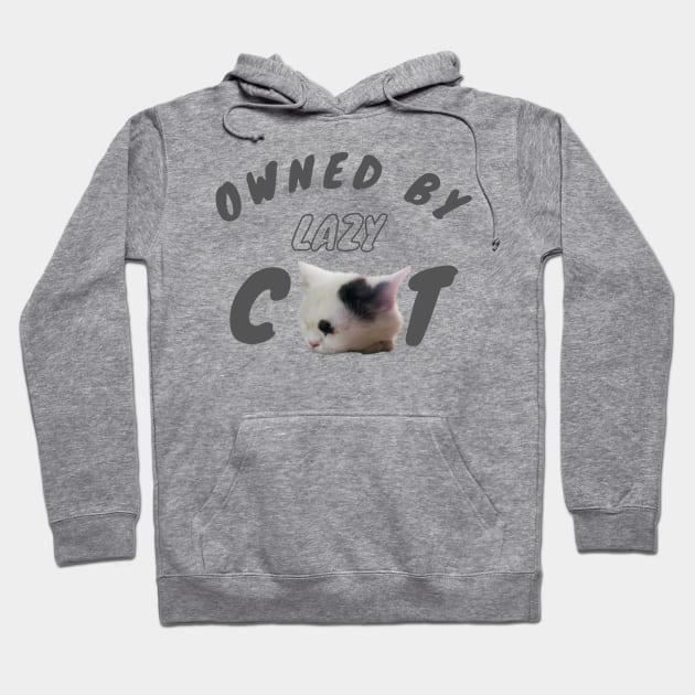 owned by lazy cat Hoodie by always.lazy